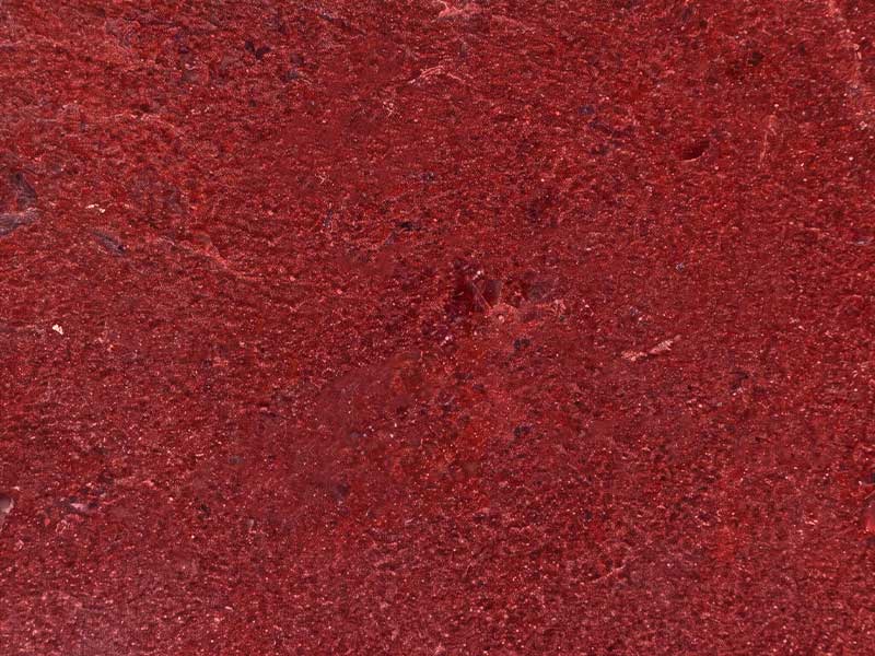 Rot